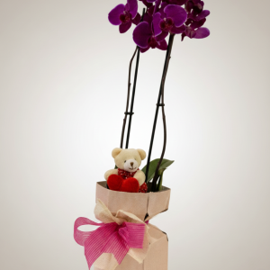 Nº 191 - Orquídea “Paixão Elegante”